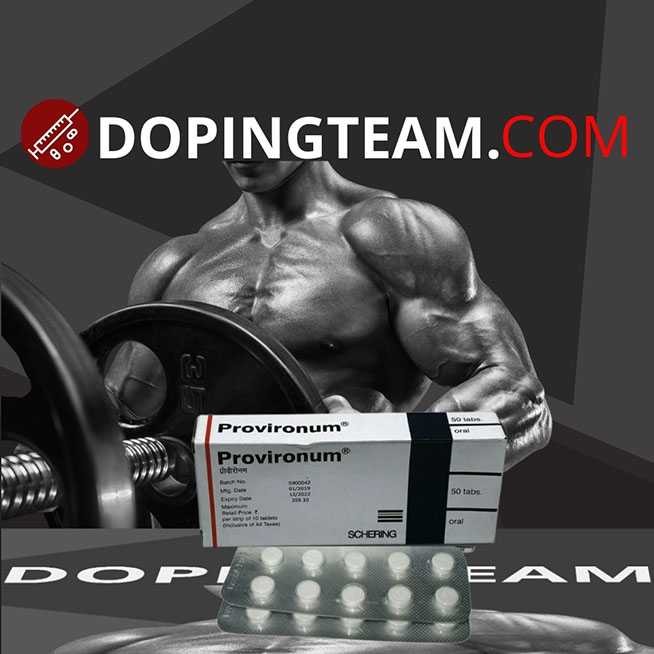 Provironum